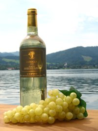 Coppo Gavi DOCG La Rocca 2009er